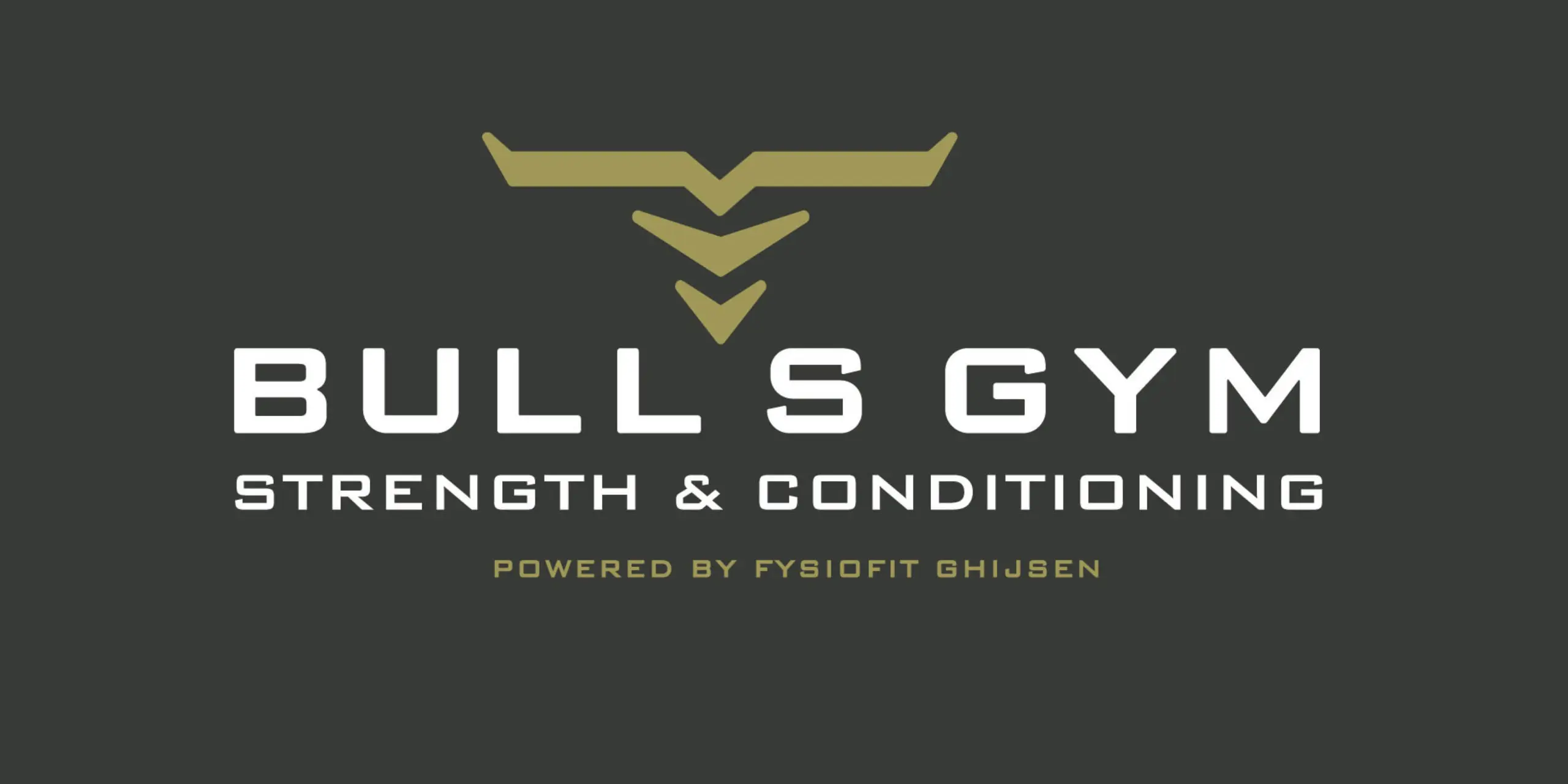 Bull's Gym Logo